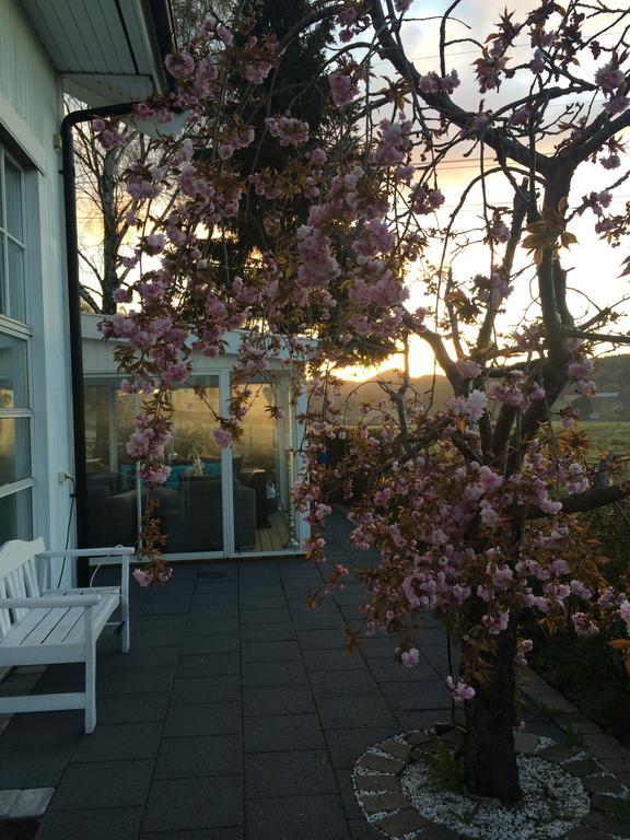 Cafe Torpet B&B Skepplanda Eksteriør billede